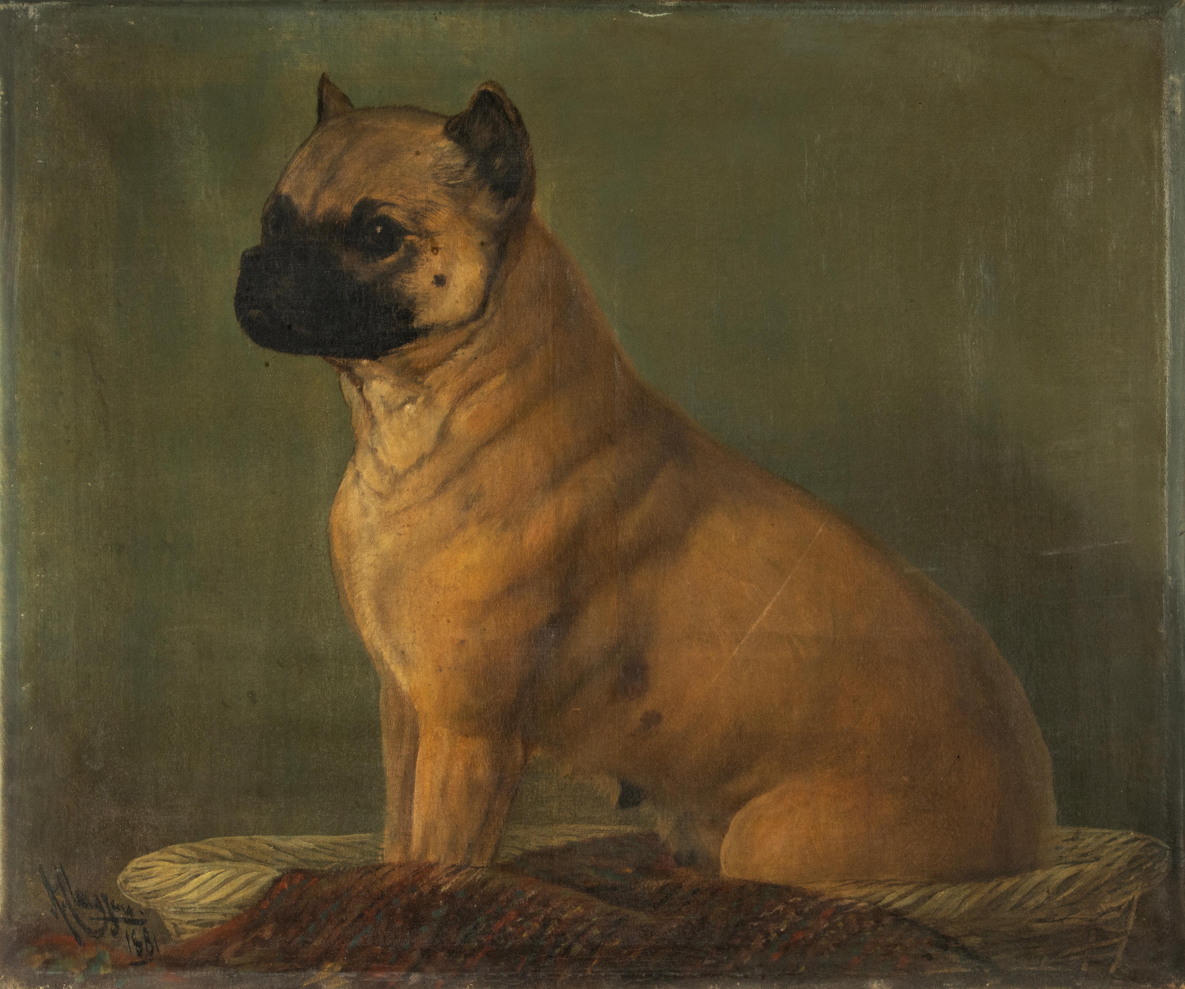 Pittura ad olio del XIX secolo - Ritratto di cane - Carlino in vendita 3