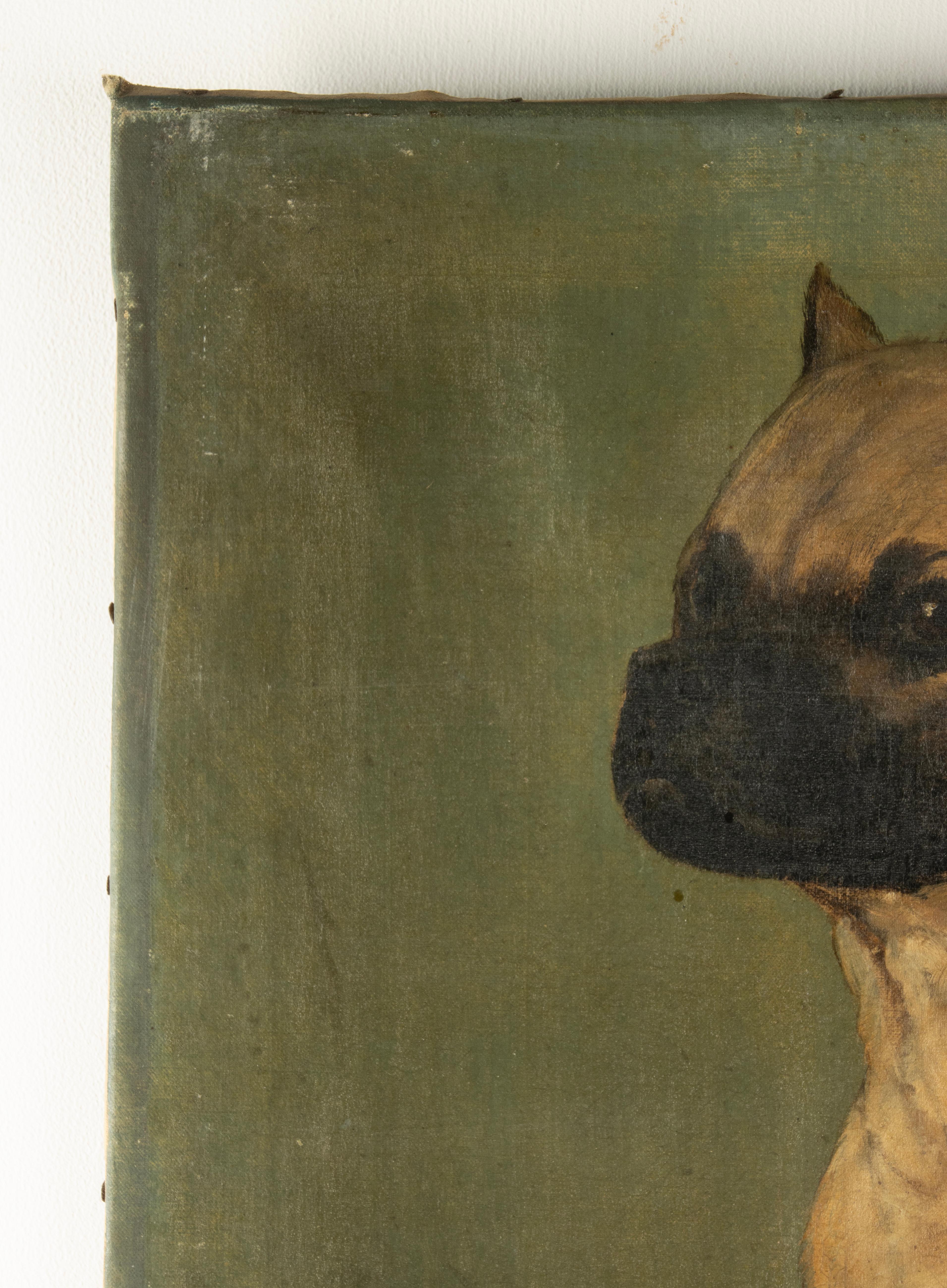 Pittura ad olio del XIX secolo - Ritratto di cane - Carlino in vendita 4