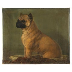 19th Century Oil Painting - Portrait of a Dog - Pug