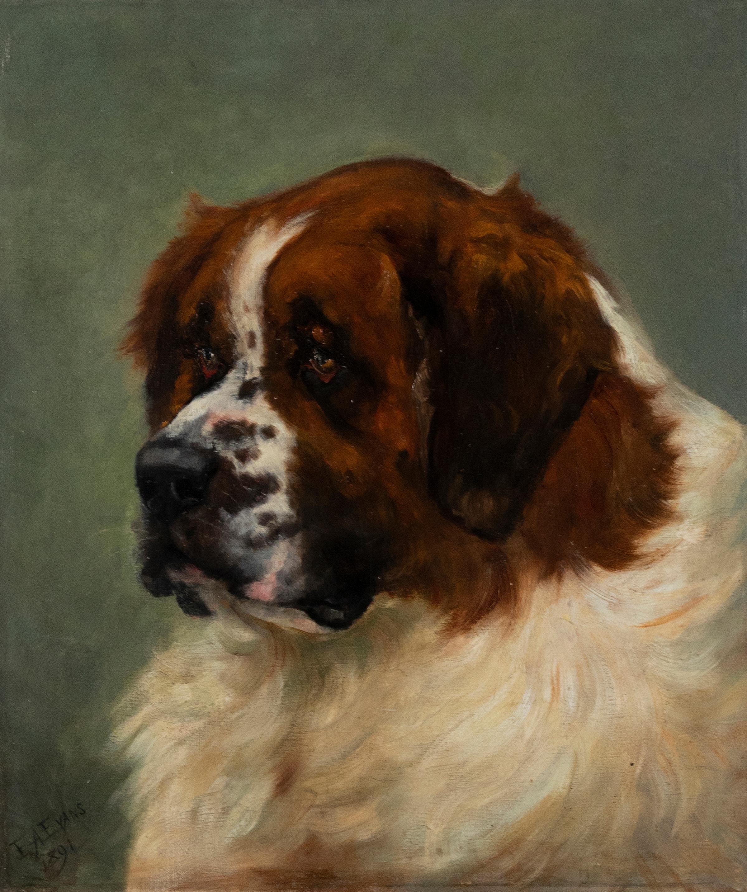Belle Époque 19th Century Oil Painting Saint Bernard Dog, Emma Andalizia EVANS