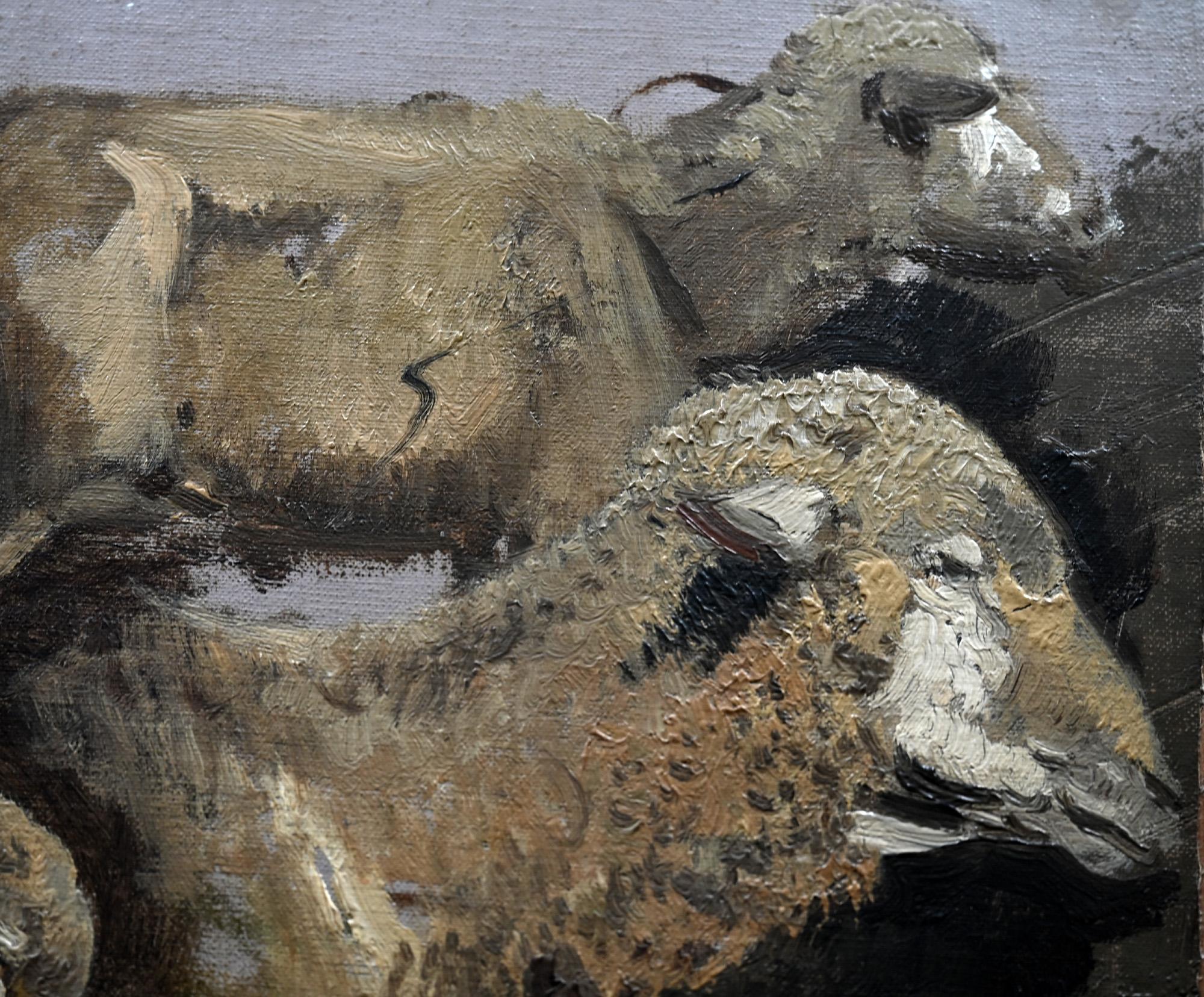 German 19th Century Oil Study with 3 Sheep Oil on Cardboard Signed Wenglein Dated