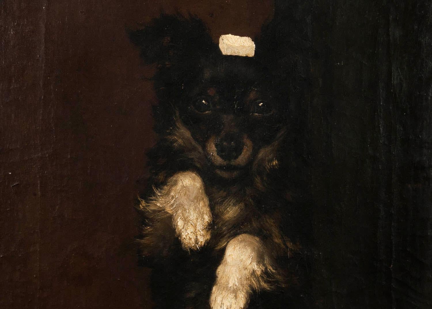 19th Century Oilpinting, Portrait of a Dog by César Geerinck 1