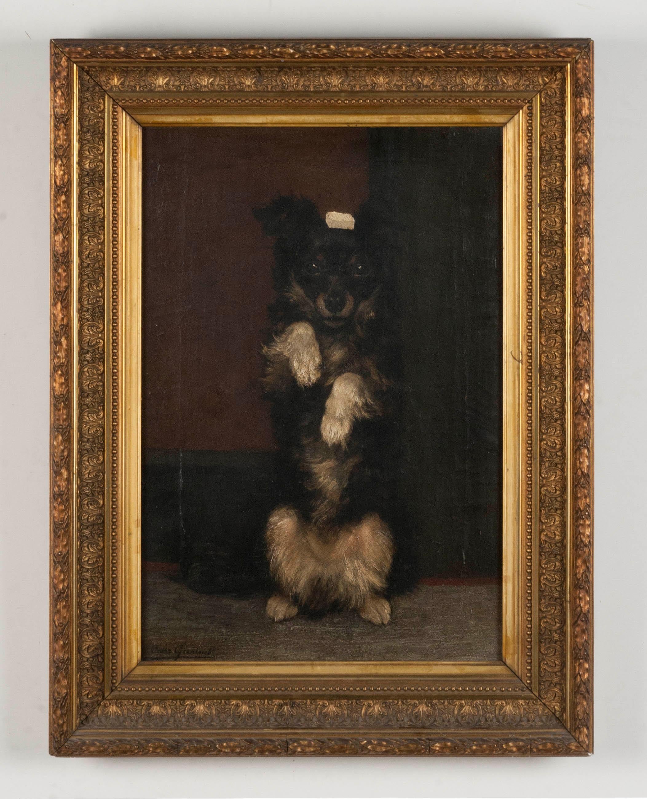 A wonderful portrait of a cheerful dog that does a trick. The dog has a sugar cube on his head and is sitting up. The painting was made, circa 1900 by the Flemish painter César Geerinck. This is not a very famous artist, he has painted a few other