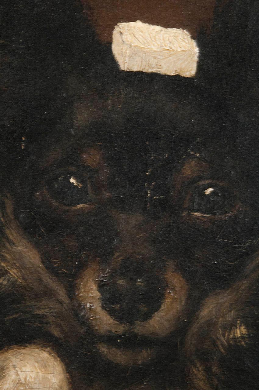 Paint 19th Century Oilpinting, Portrait of a Dog by César Geerinck