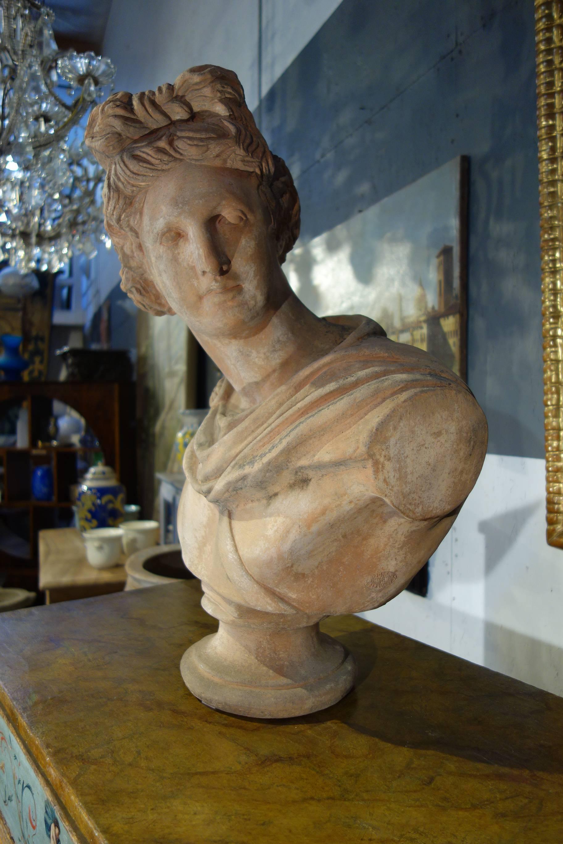 19th Century Renaissance Style Old Impruneta Terracotta Diana Bust from Florence 2