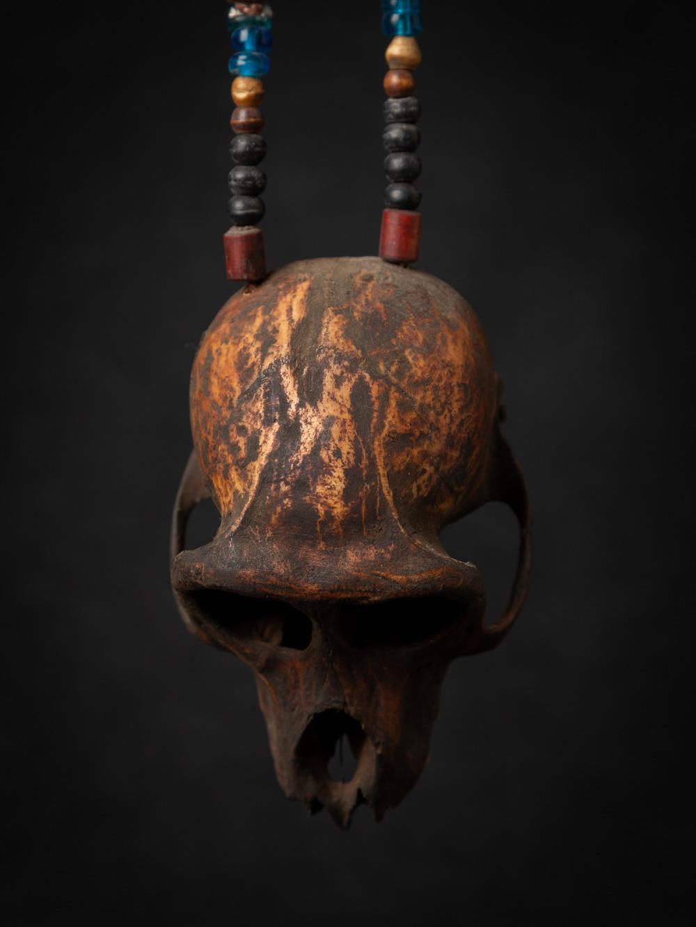 19th century Old Naga necklace with monkey-skull - Original Buddhas 6