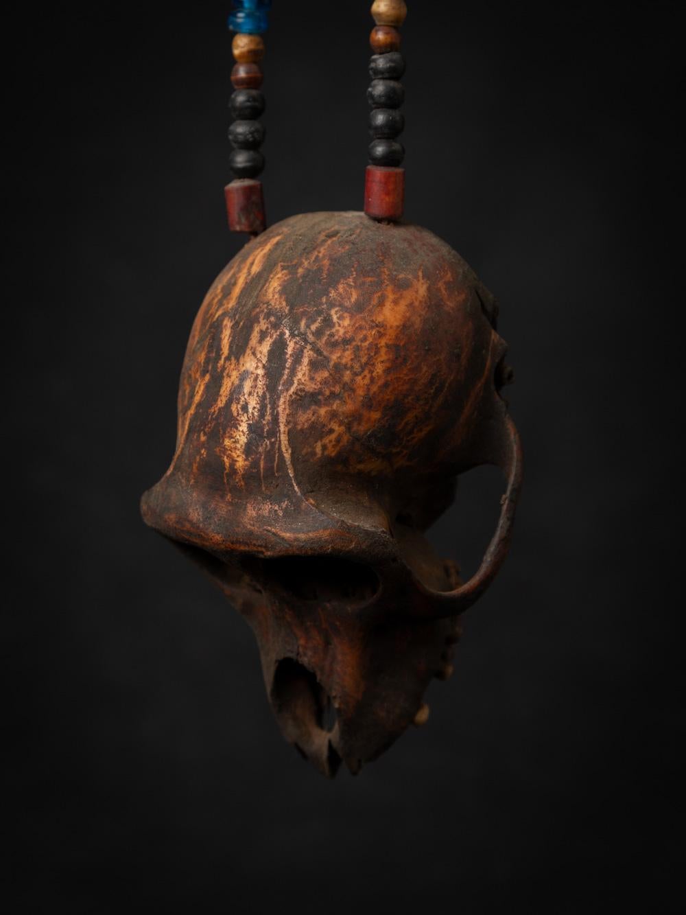 19th century Old Naga necklace with monkey-skull - Original Buddhas 7