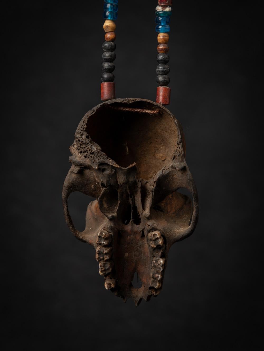 19th century Old Naga necklace with monkey-skull - Original Buddhas 9