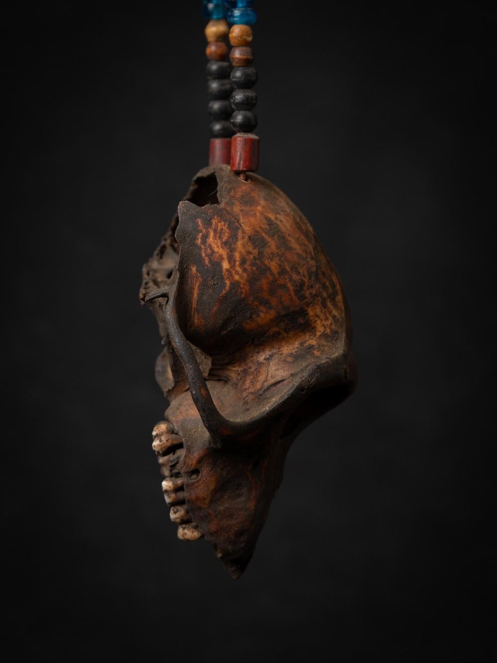 19th century Old Naga necklace with monkey-skull - Original Buddhas 10