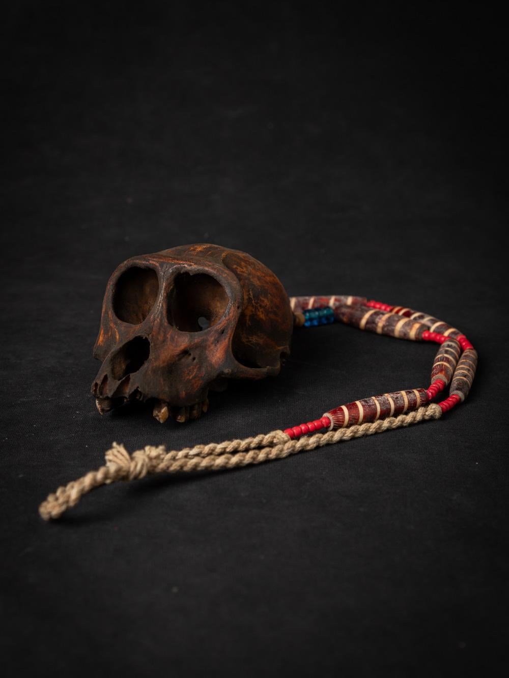 This 19th-century Naga necklace with a monkey-skull pendant is a remarkable artifact that offers a glimpse into the rich cultural and spiritual traditions of the Naga tribe in Burma.

The necklace, with its central pendant made from bone, is a