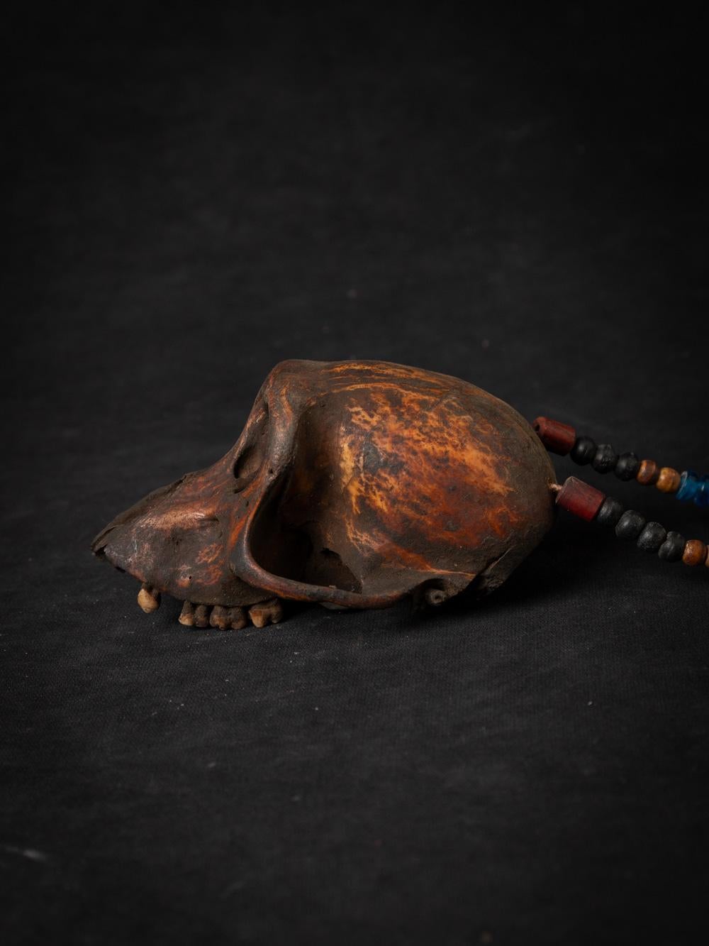 Burmese 19th century Old Naga necklace with monkey-skull - Original Buddhas