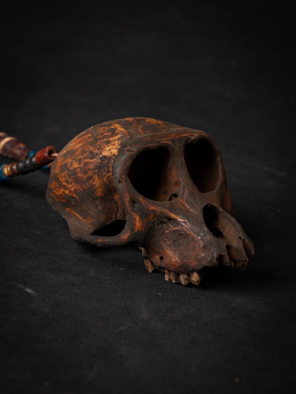 Bone 19th century Old Naga necklace with monkey-skull - Original Buddhas