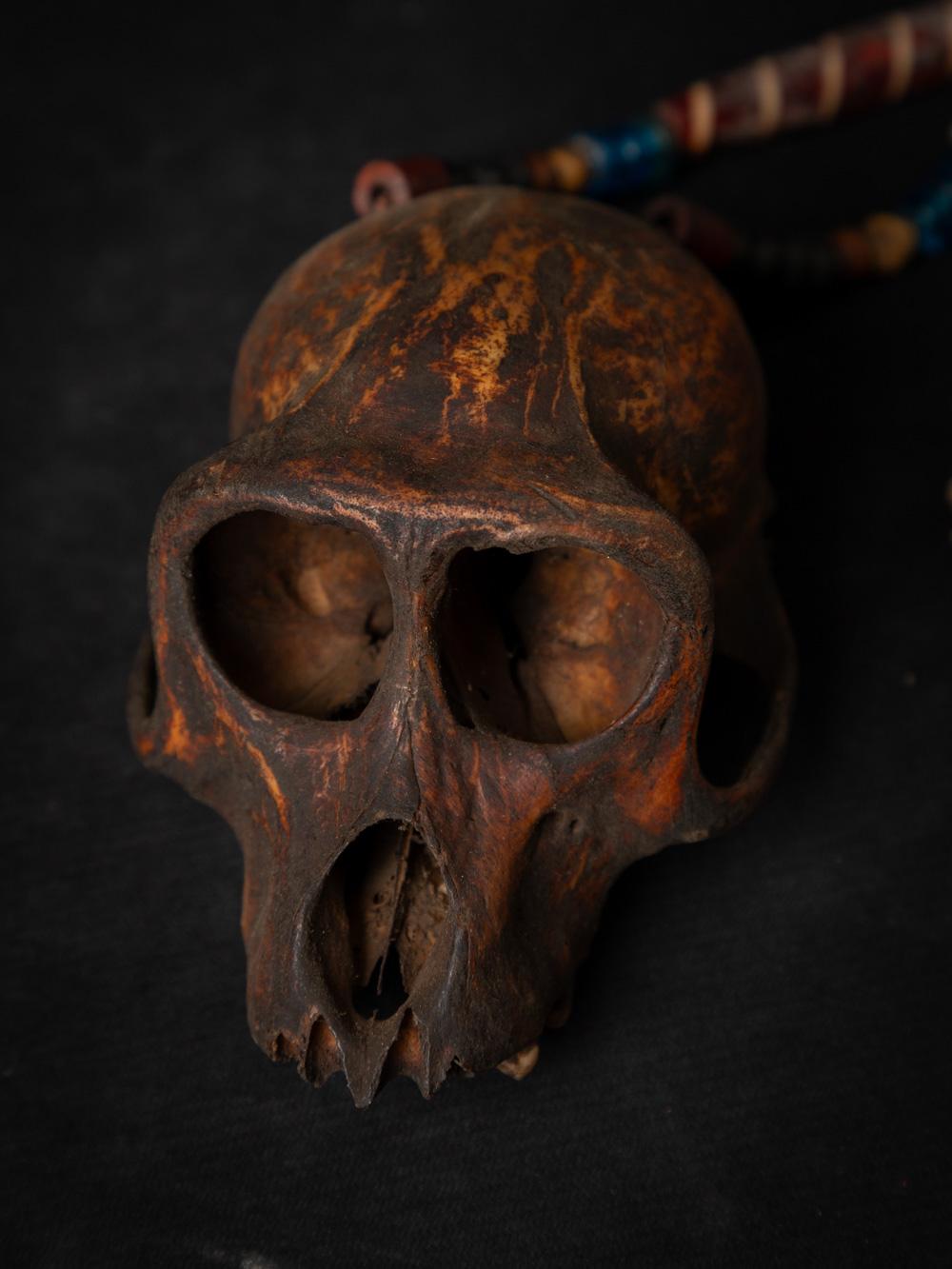 19th century Old Naga necklace with monkey-skull - Original Buddhas 2