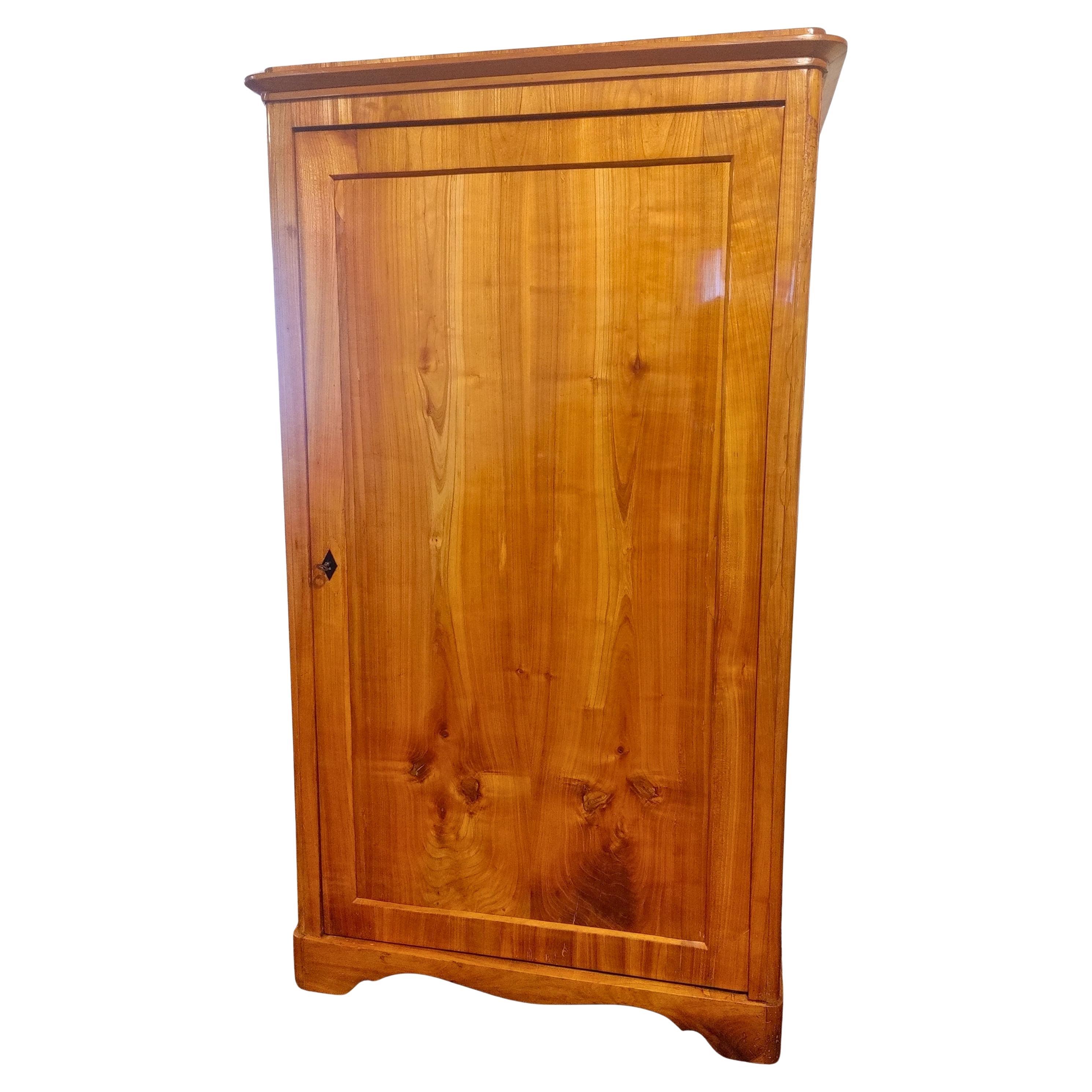 19th Century One-Door Biedermeier Cherry Cabinet / Wardrobe