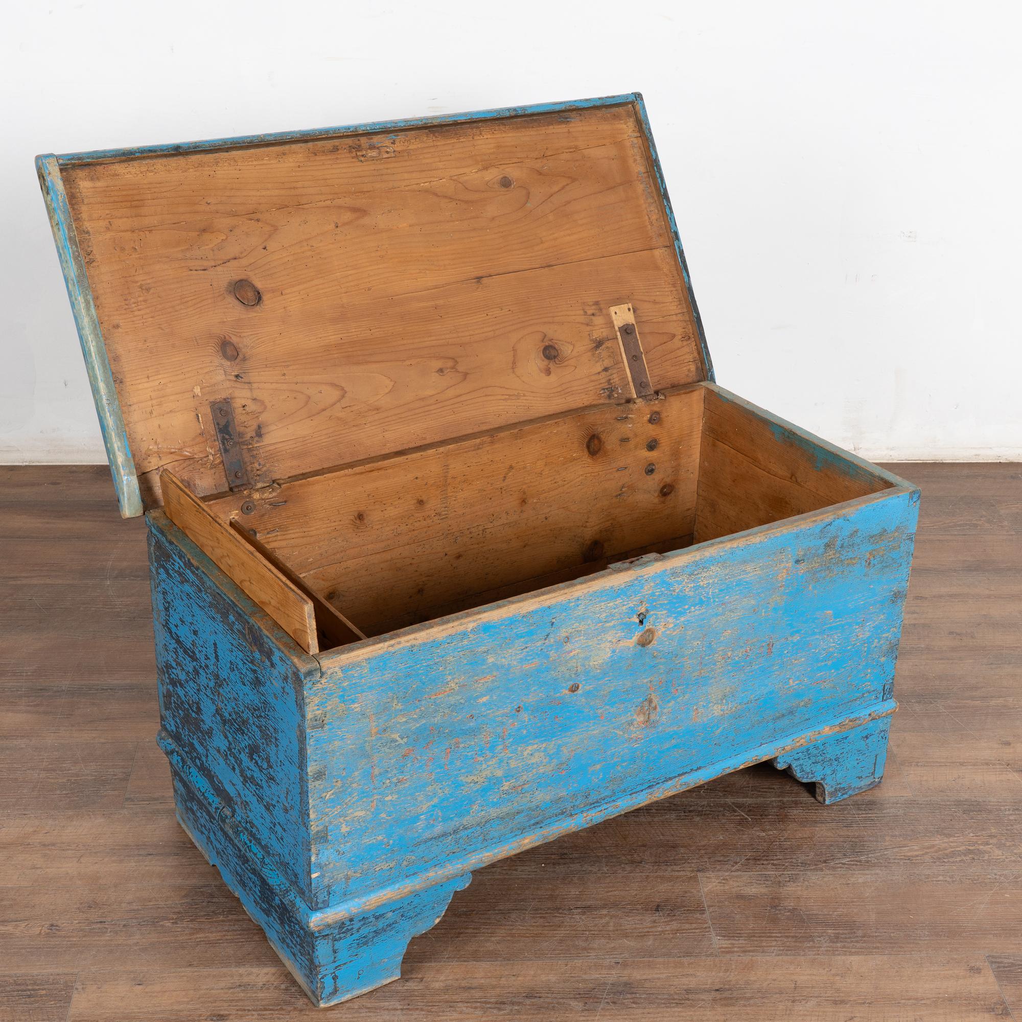 Hungarian 19th Century Original Rustic Blue Flat Top Pine Trunk, Hungary