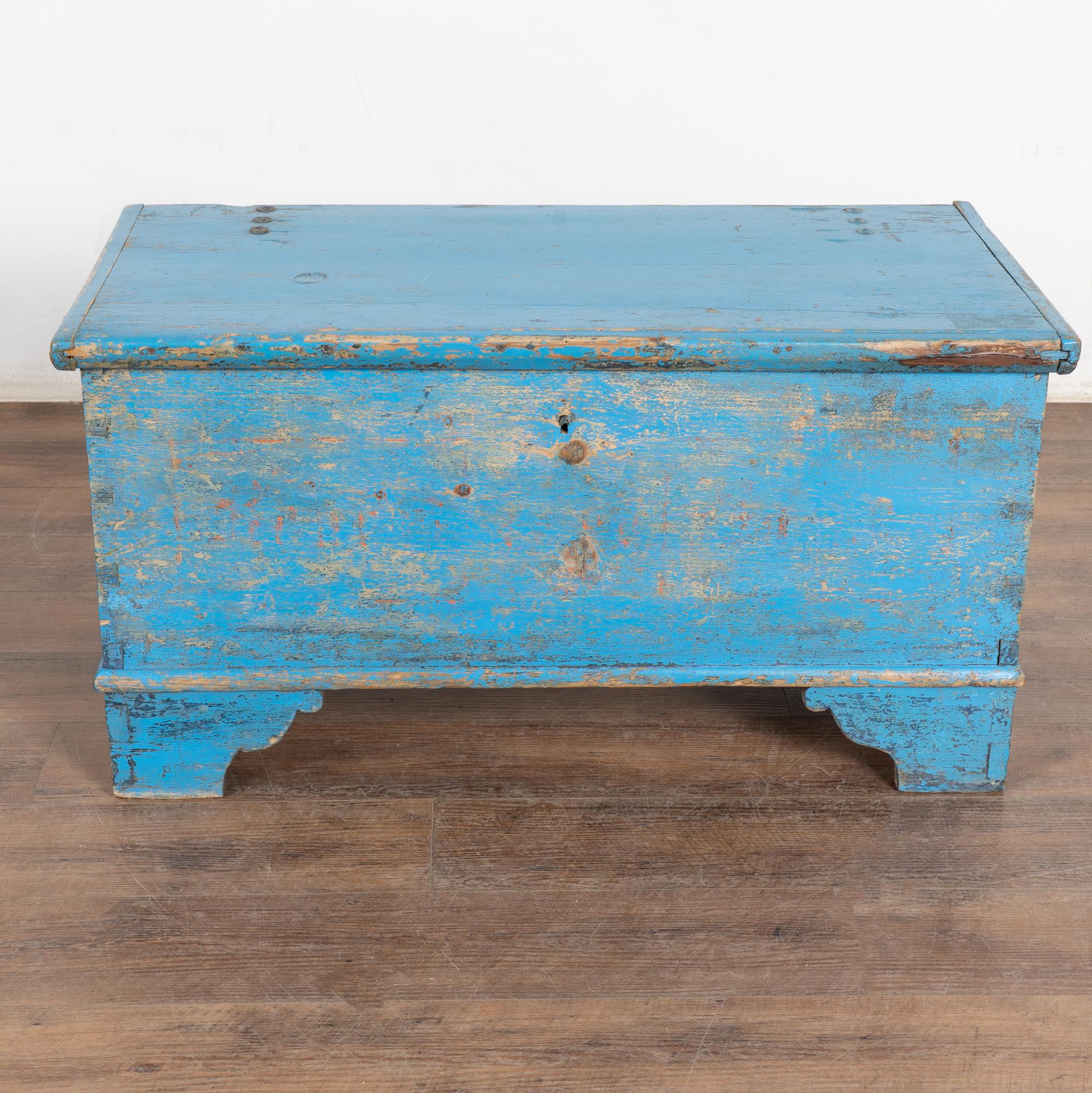 19th Century Original Rustic Blue Flat Top Pine Trunk, Hungary 1