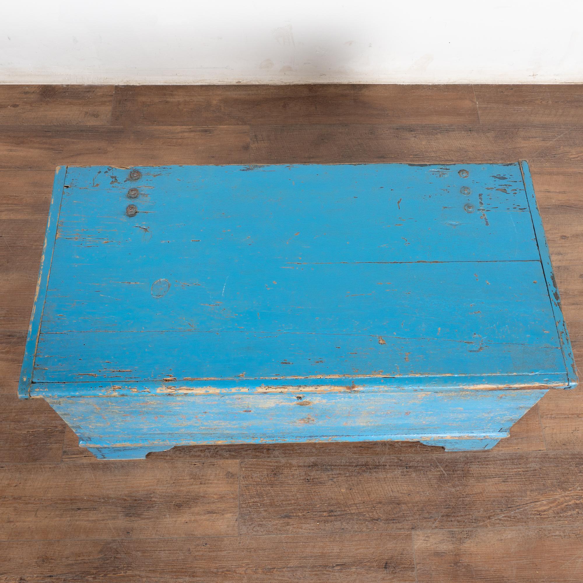19th Century Original Rustic Blue Flat Top Pine Trunk, Hungary 2