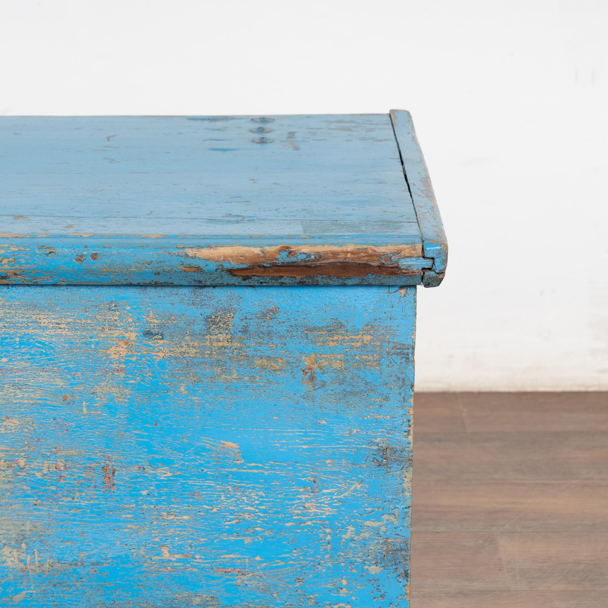19th Century Original Rustic Blue Flat Top Pine Trunk, Hungary 4
