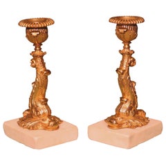 19th Century Ormolu Dolphin Stem Candlesticks