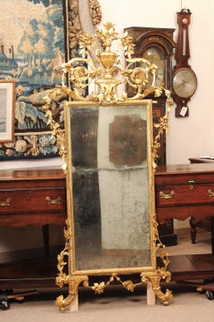 19th Century Ornate Italian Neoclassical Giltwood Mirror