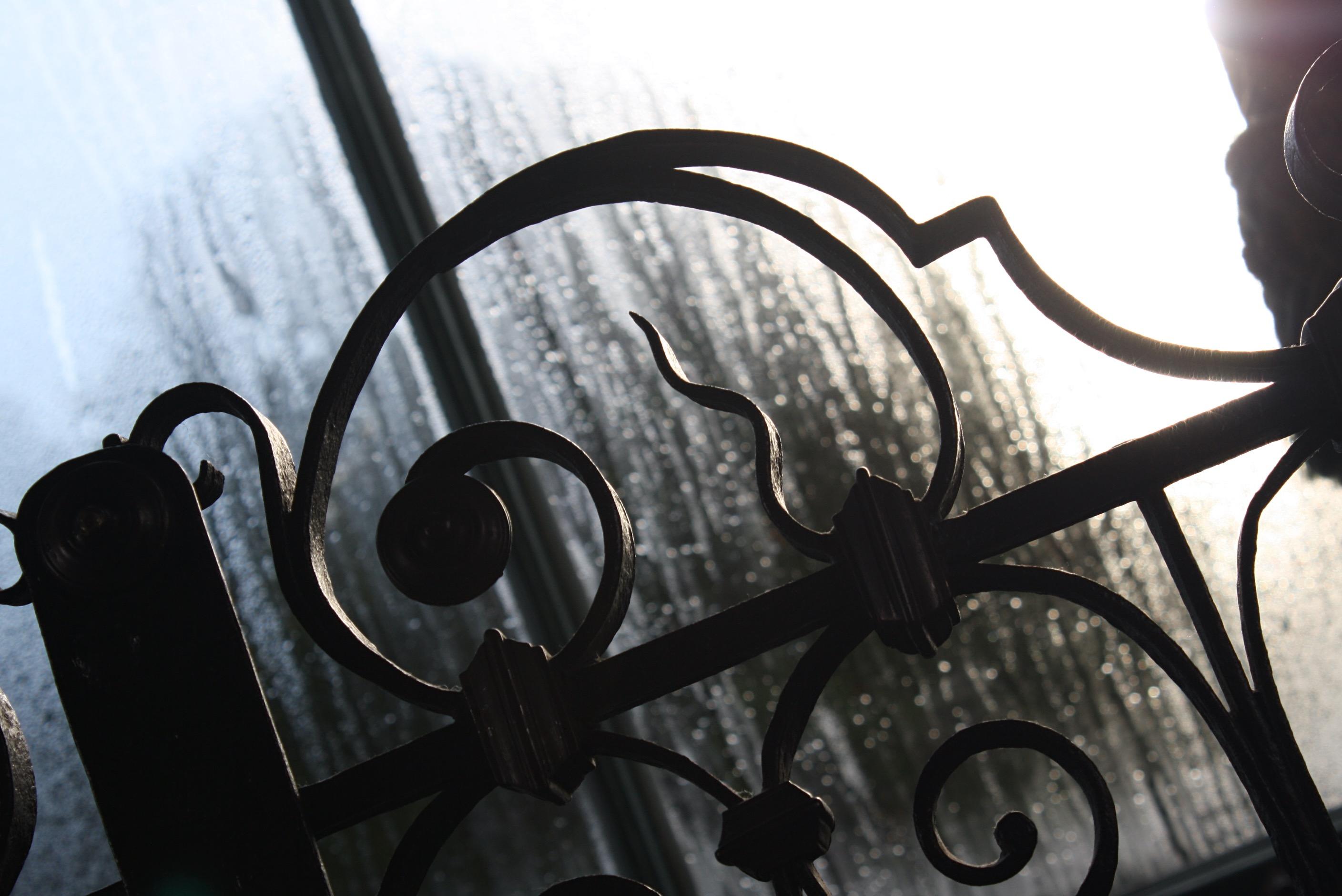 19th Century Ornate Italian Wrought Iron and Bronze Window Grille, Gate, Grate 5