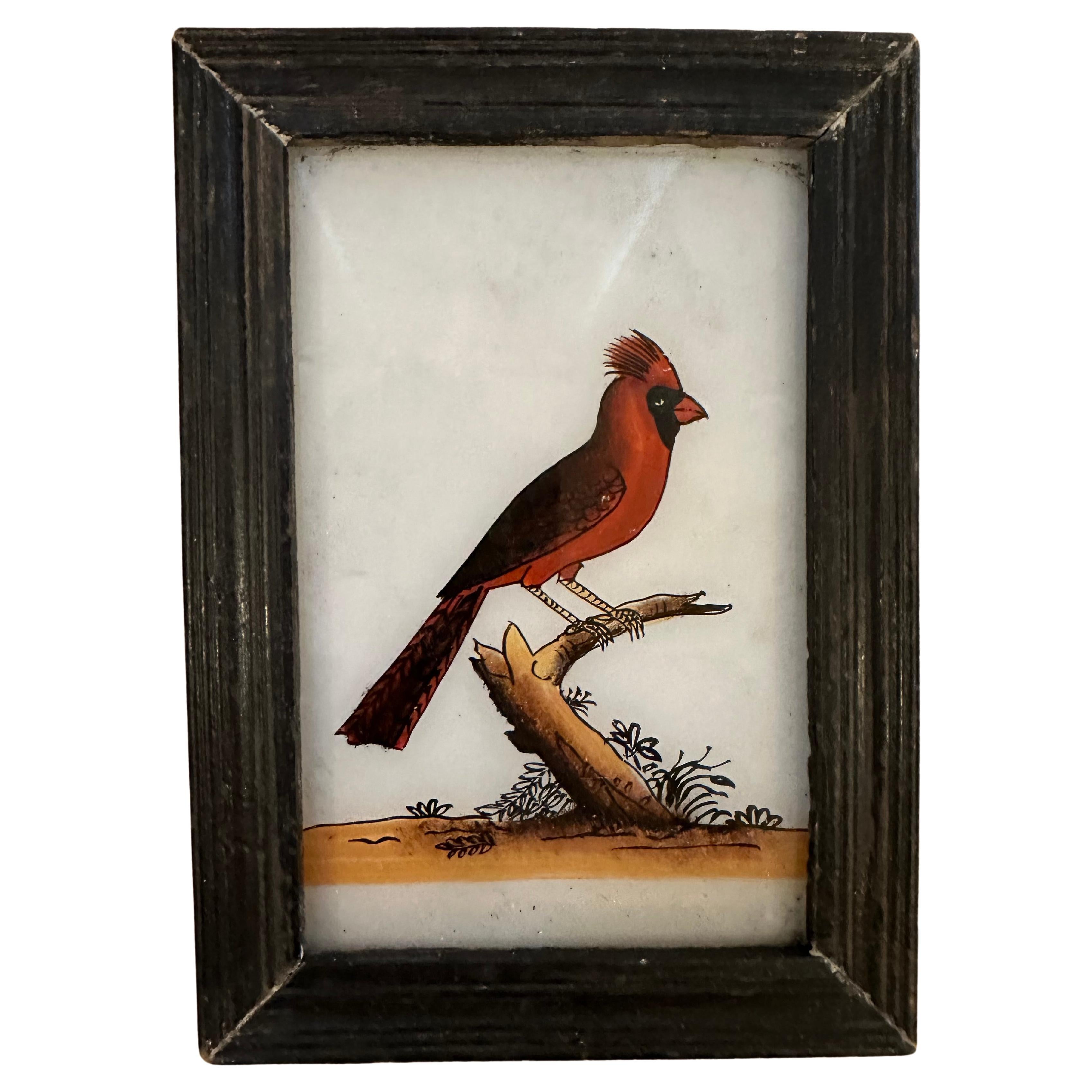 This stunning collection of 19th-century bird paintings captures the grace and diversity of birdlife with exquisite detail and artistry. Each painting presents a different bird species, rendered with vibrant colors and precise brushwork that bring