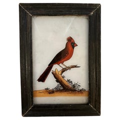 Ornithologische Kunst des 19. Jahrhunderts: Timeless Bird Paintings Sammlung