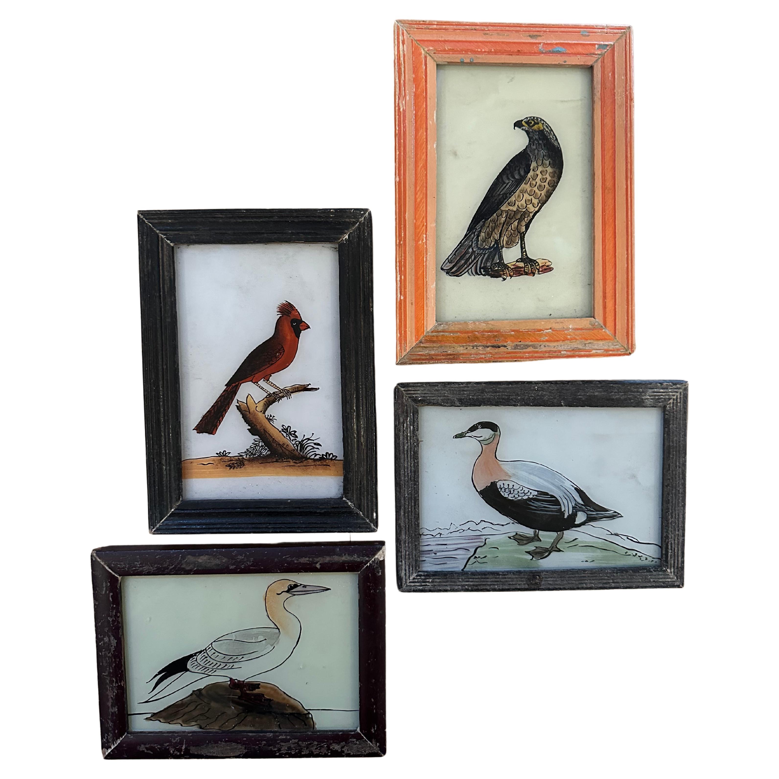 Arte ornitológico del siglo XIX: Colección de pinturas de aves intemporales