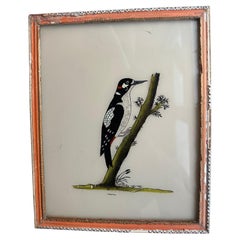 19th-Century Ornithological Artwork: Elegant Bird Painting