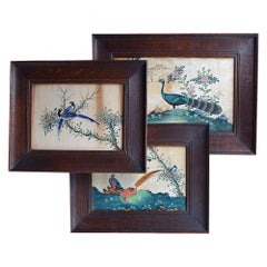 Peintures ornithologiques du XIXe siècle sur piqûre