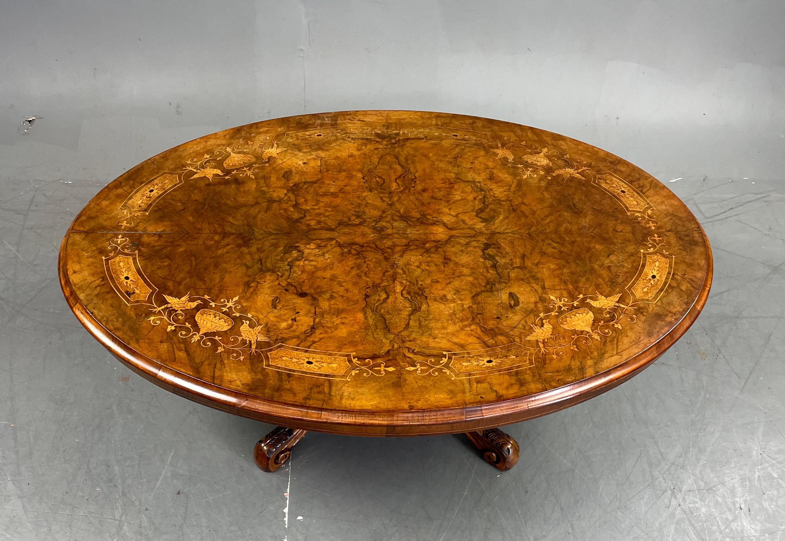 Victorian 19th century oval burr walnut inlaid coffee table 