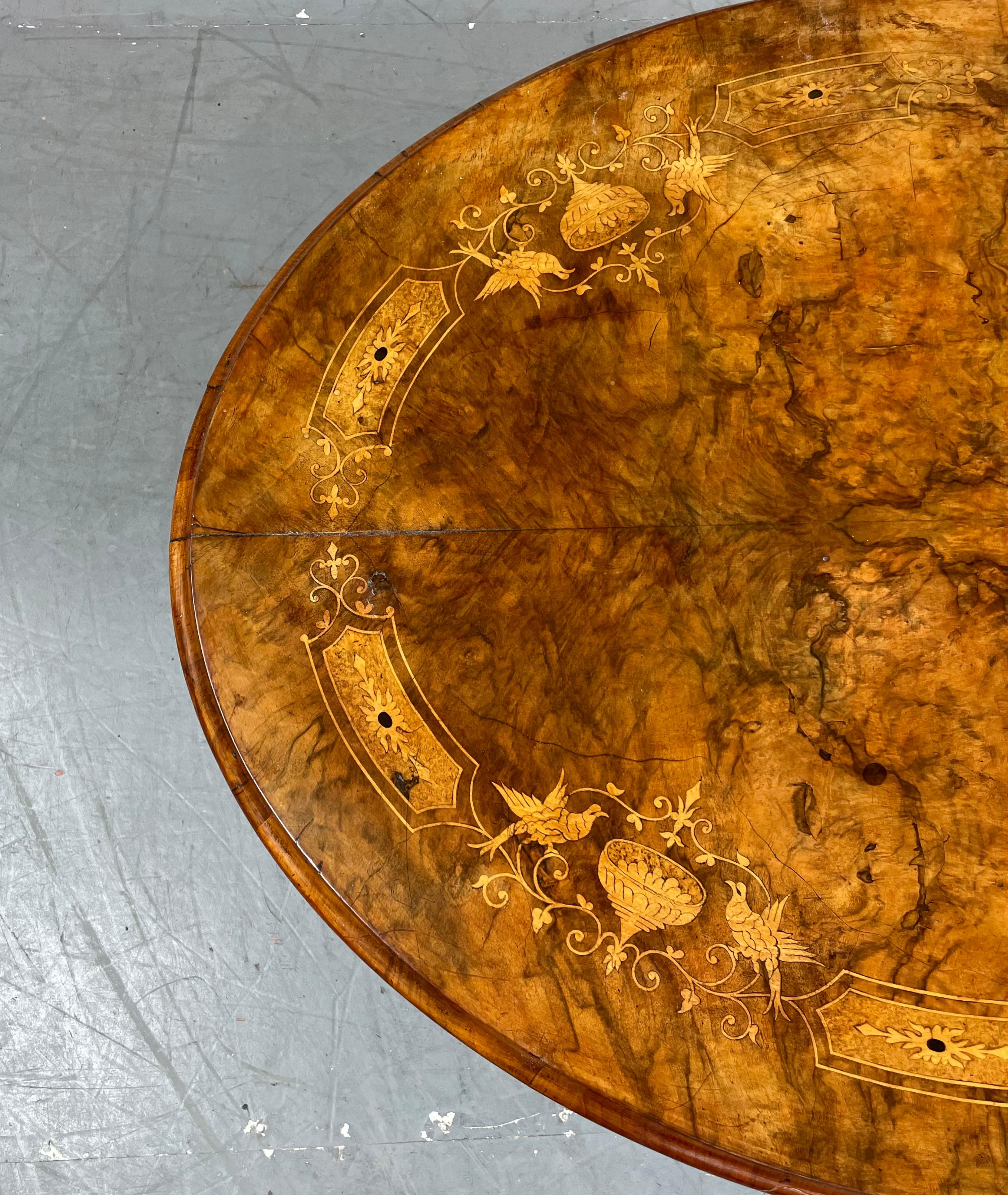 English 19th century oval burr walnut inlaid coffee table 