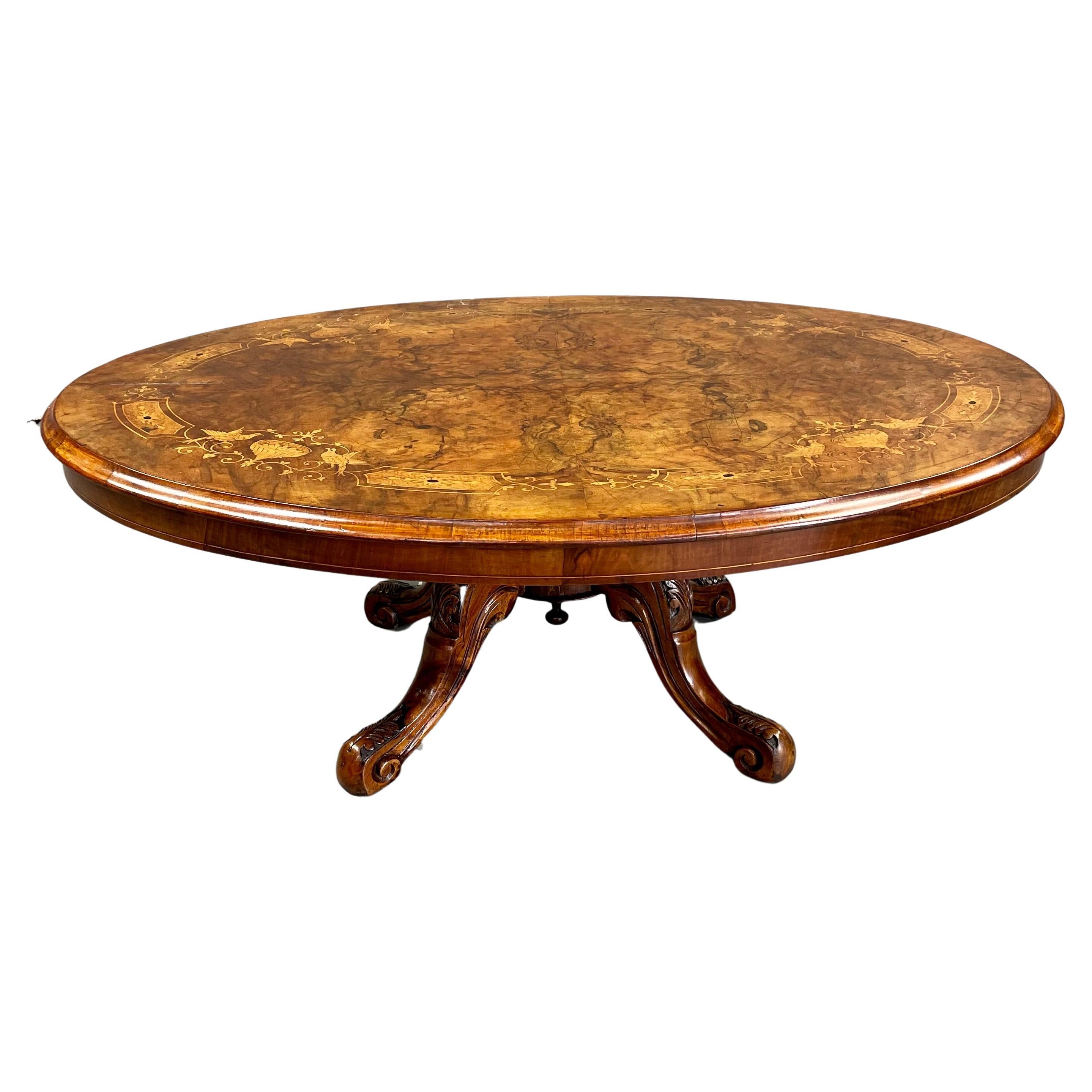 19th century oval burr walnut inlaid coffee table 