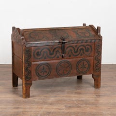 19th Century Painted and Carved Hungarian Dome Top Trunk