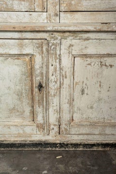 Biblioteca dipinta del XIX secolo