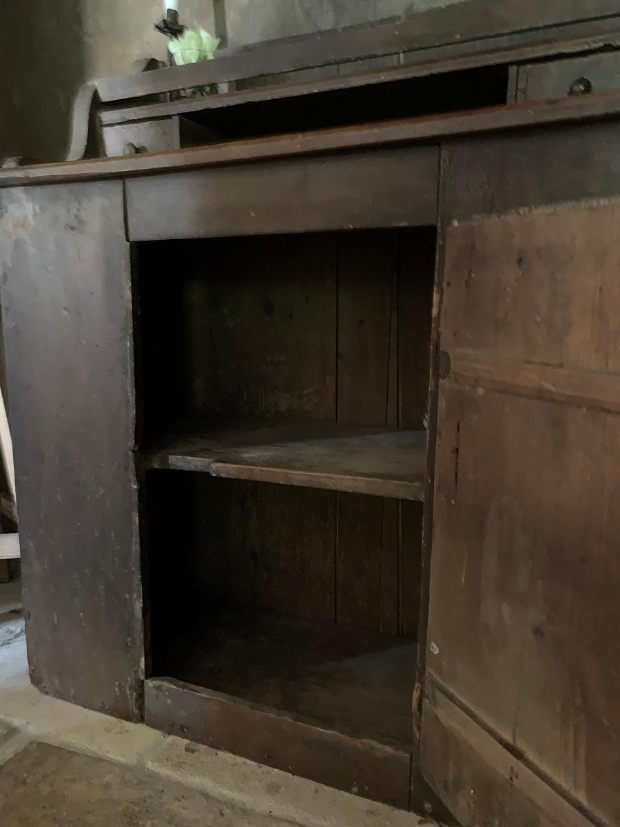19th Century Painted Cupboard 2