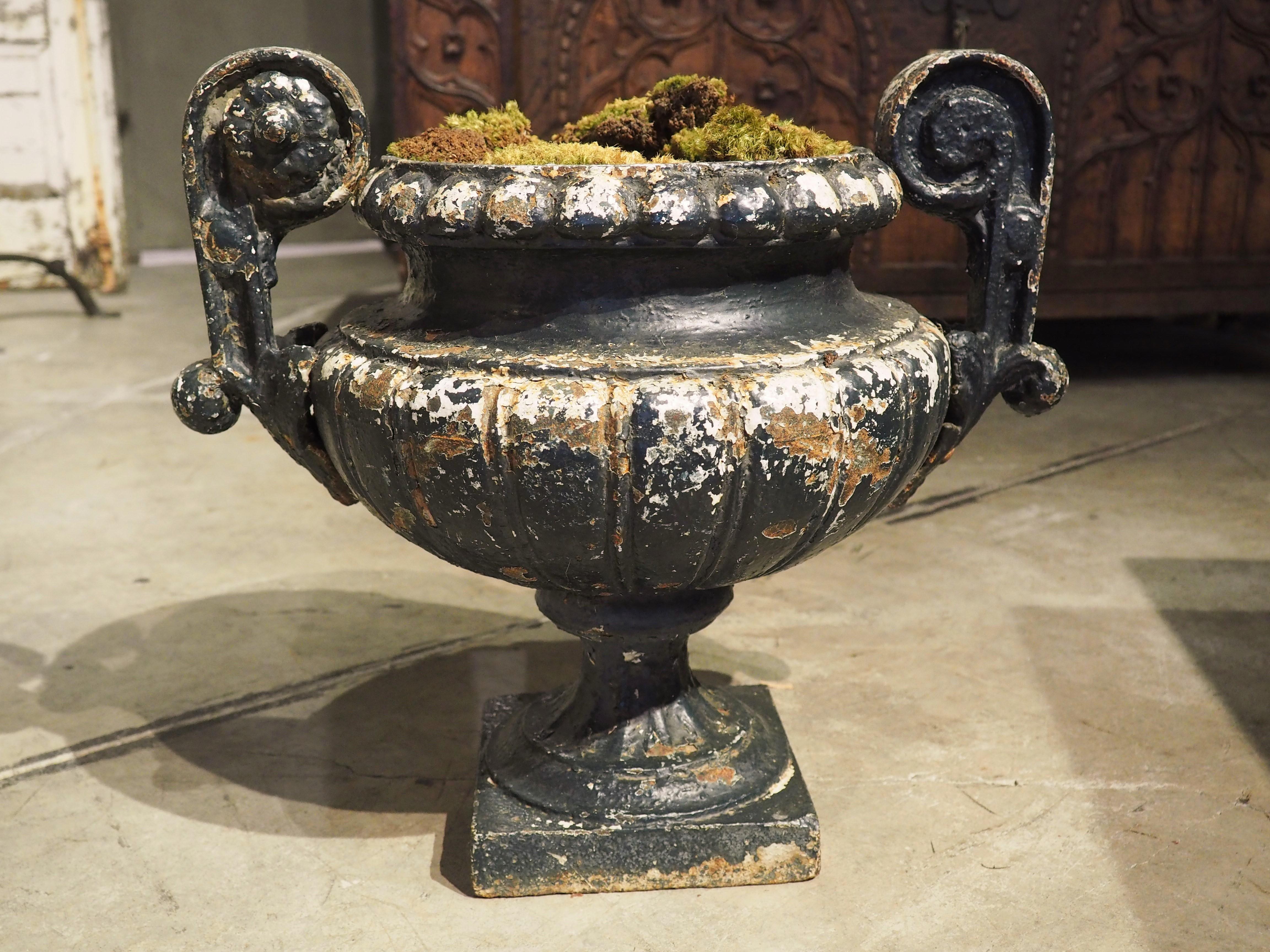 19th Century Painted French Cast Iron Vase 6