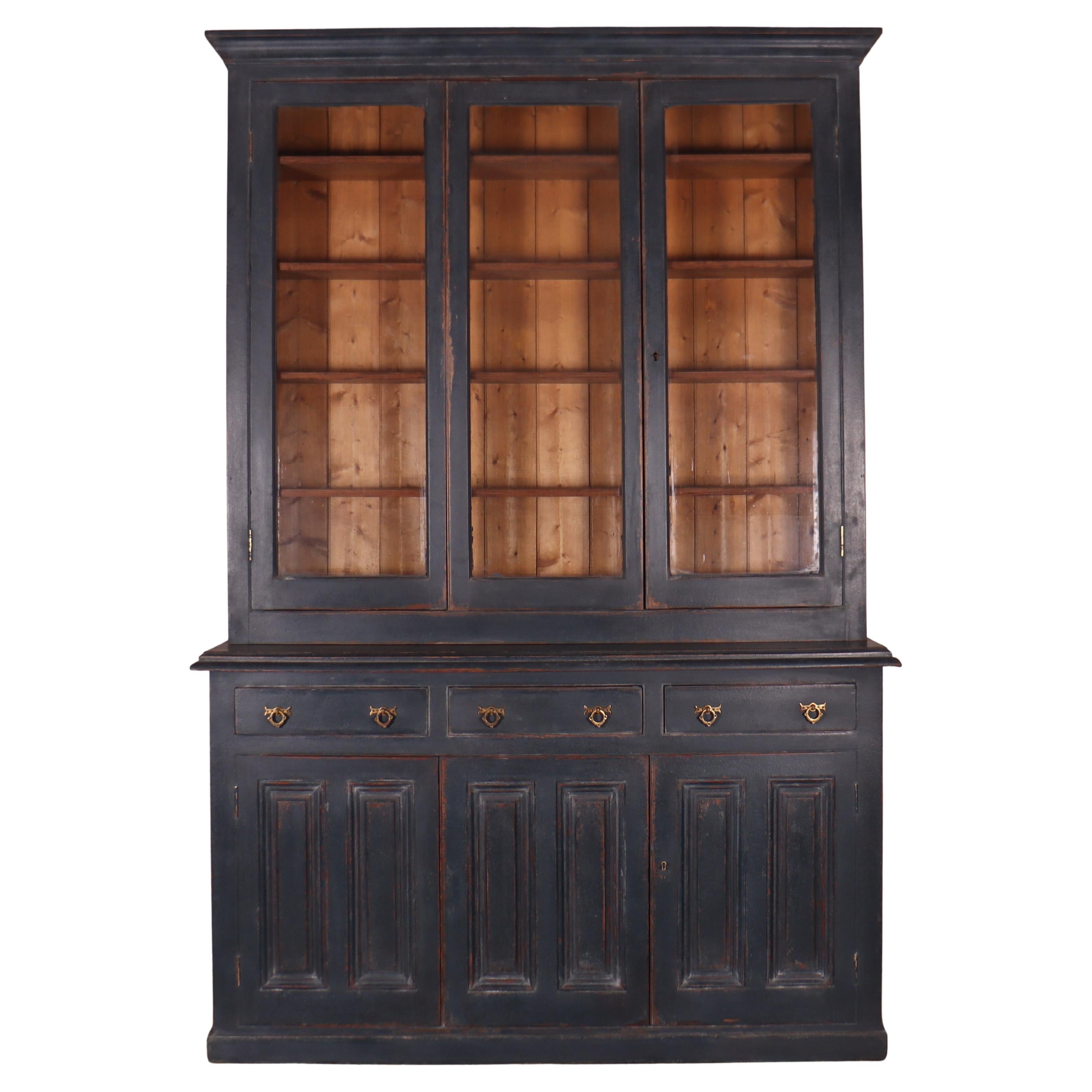 Gemaltes irisches Bibliotheksregal aus dem 19.