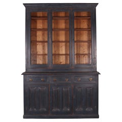 19th Century Painted Irish Library Bookcase