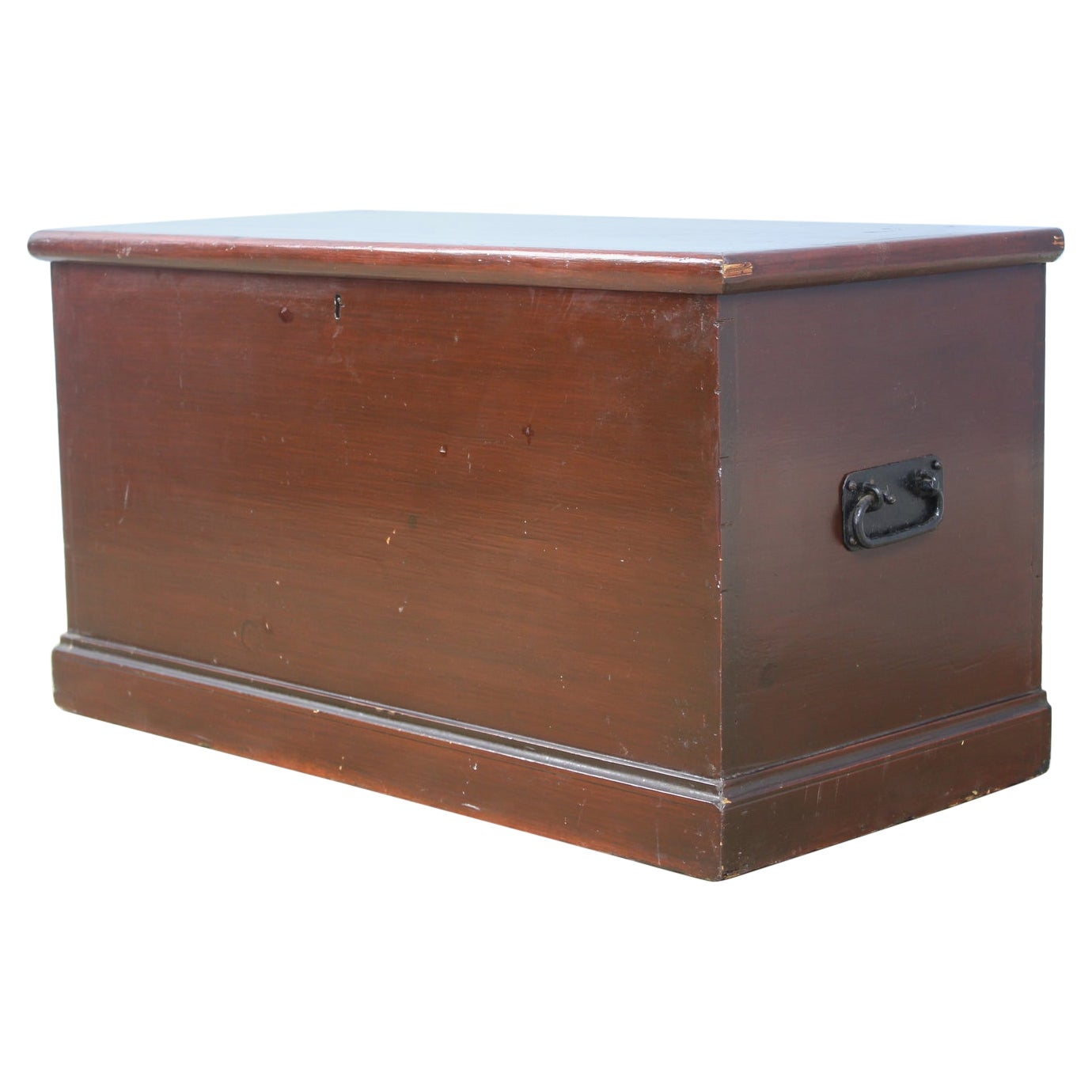 19th Century Painted Pine Blanket Box For Sale