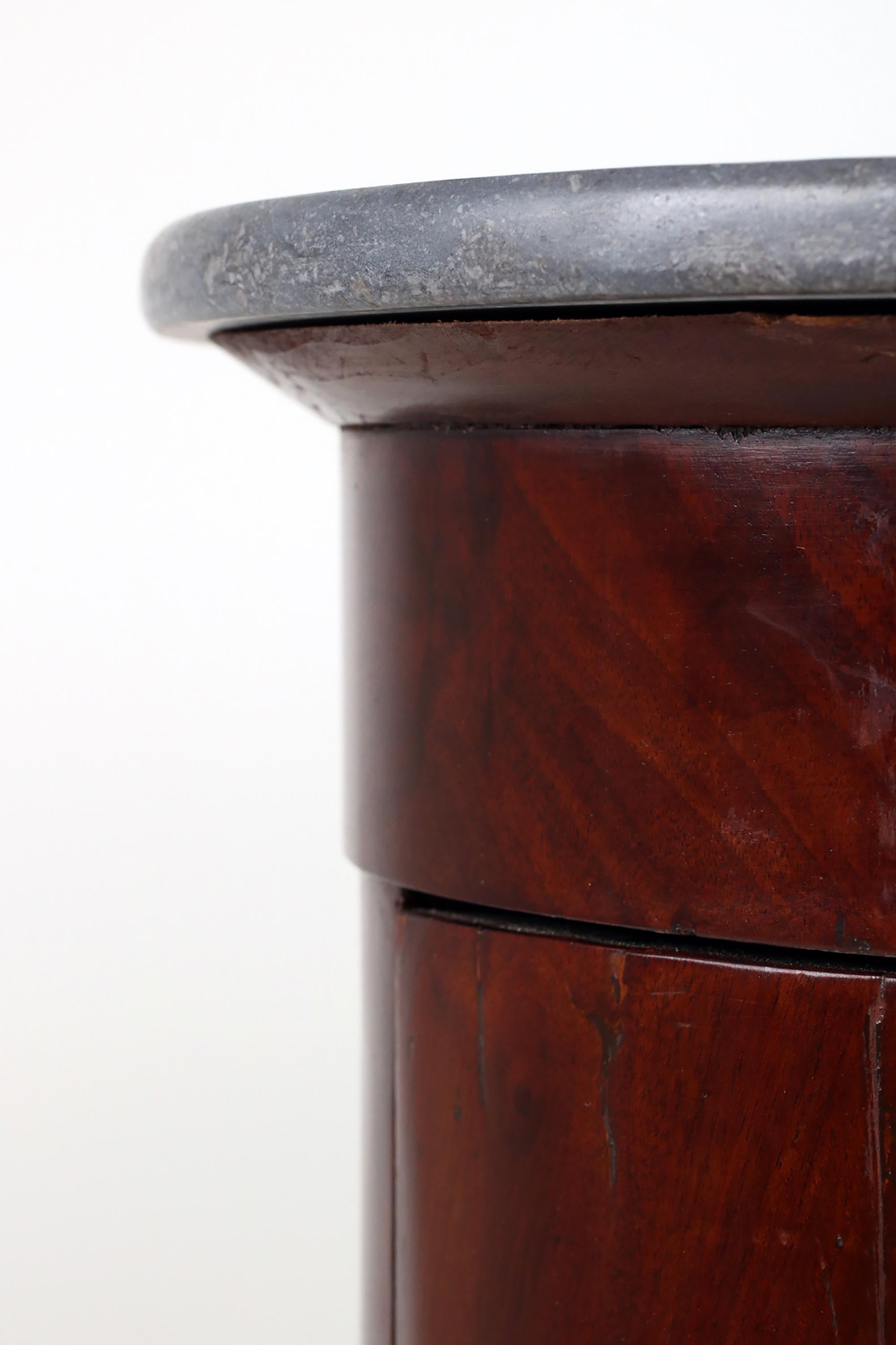 Paire d'armoires à tambour en acajou néoclassique français du 19e siècle en vente 11