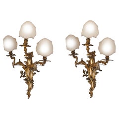 19th Century Pair Louis XV Style Gilt Bronze Appliques or Wall Lights