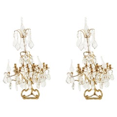 19th Century Louis XV Style Twelve-Light Girandoles