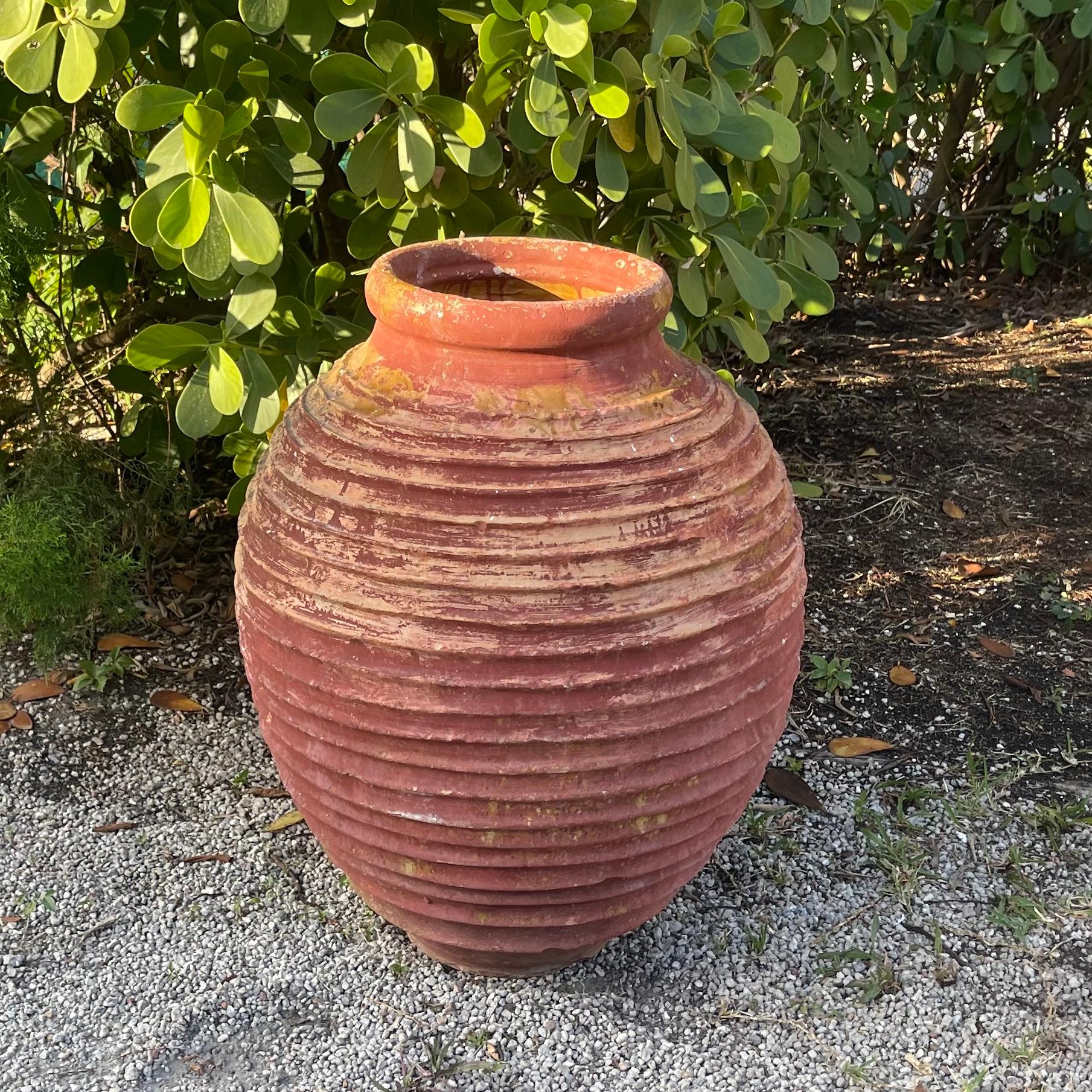 Terracotta Coppia di vasi di Oliver rossi greci antichi del XIX secolo in vendita
