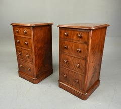 19th Century Pair of Bedside Chests of Drawers Night Lockers