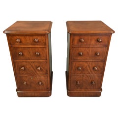 19th Century Pair of Bedside Chests of Drawers Night Lockers