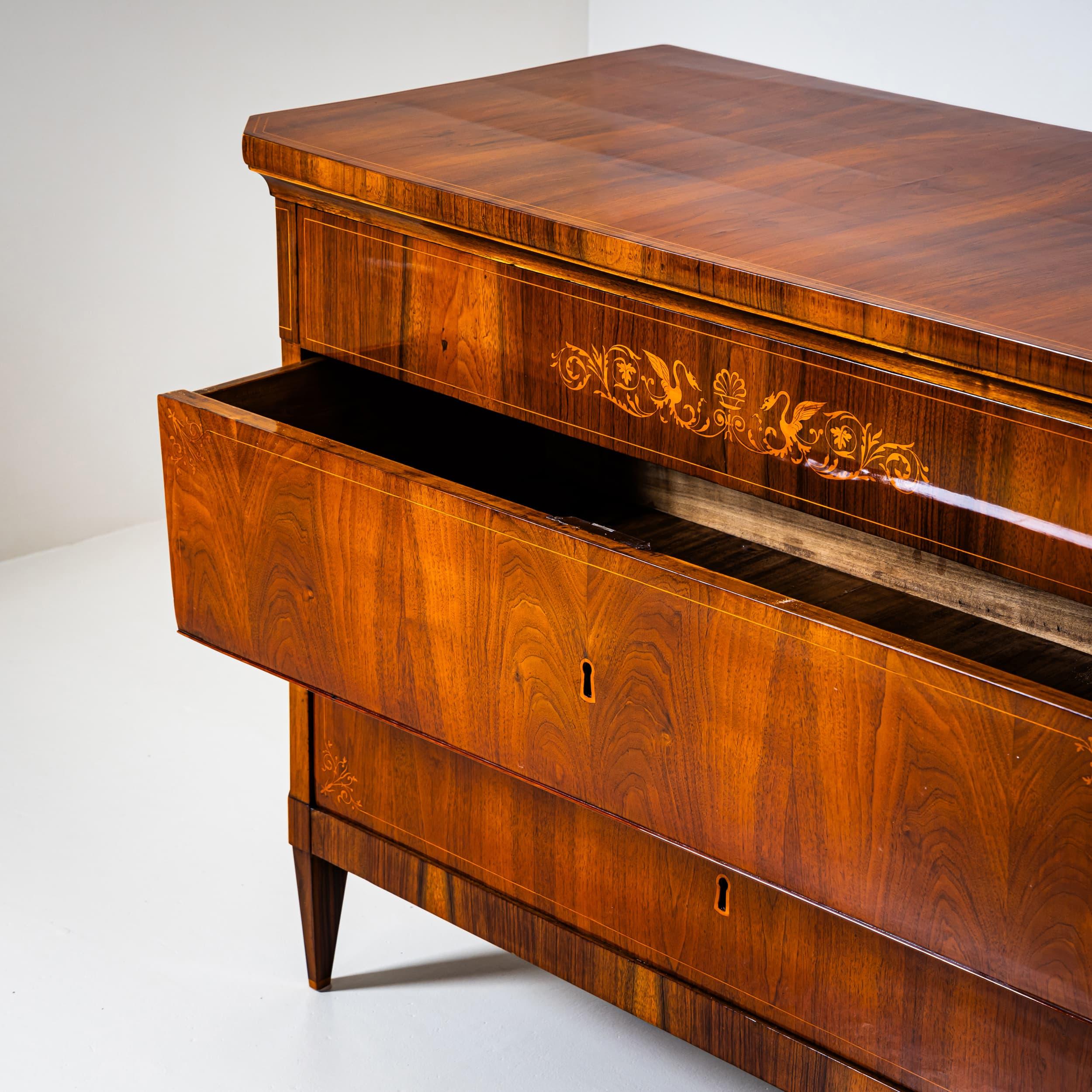 19th Century Pair of Biedermeier Chests of Drawers, Italy For Sale 5