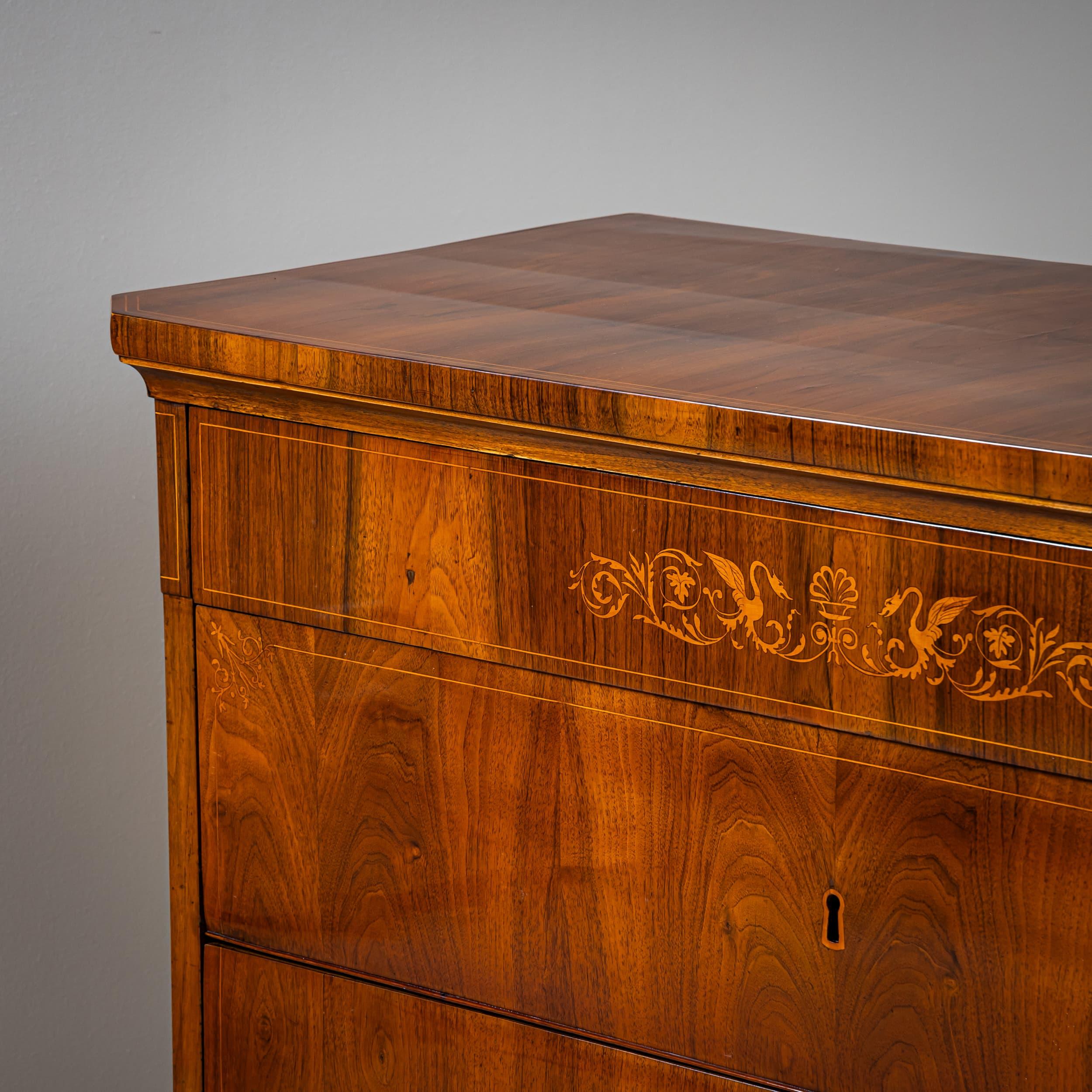 Hardwood 19th Century Pair of Biedermeier Chests of Drawers, Italy For Sale