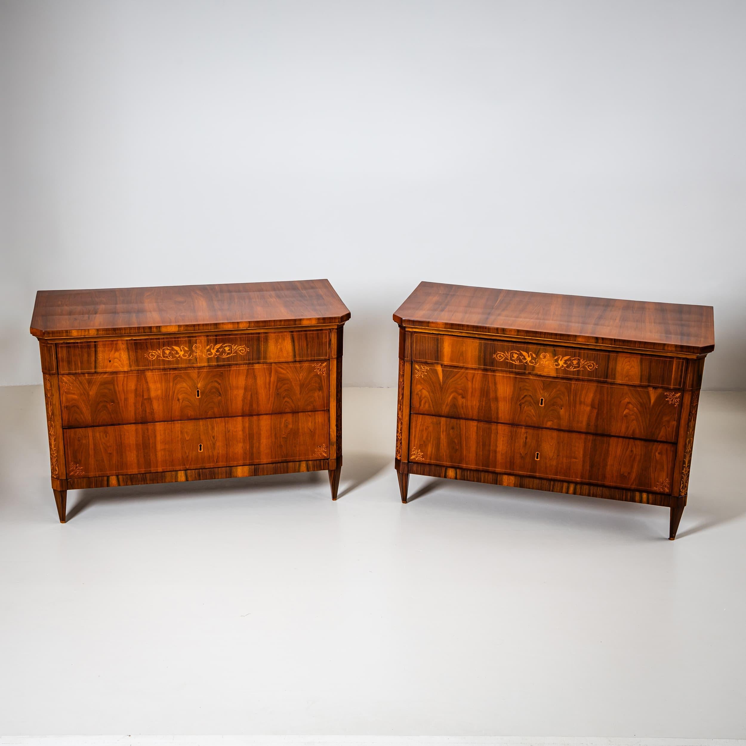 19th Century Pair of Biedermeier Chests of Drawers, Italy For Sale 3