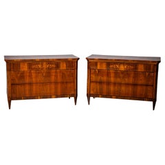 19th Century Pair of Biedermeier Chests of Drawers, Italy
